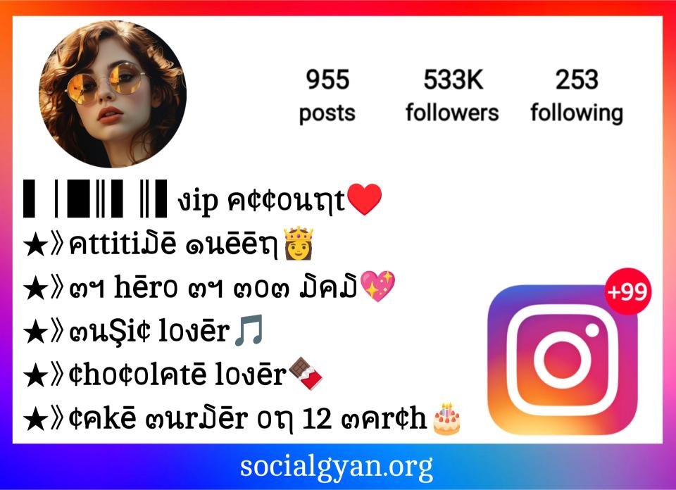 Instagram Vip Bio Stylish Font