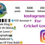 Instagram Bio For Cricket Lovers