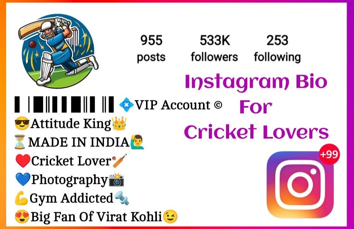 Instagram Bio For Cricket Lovers