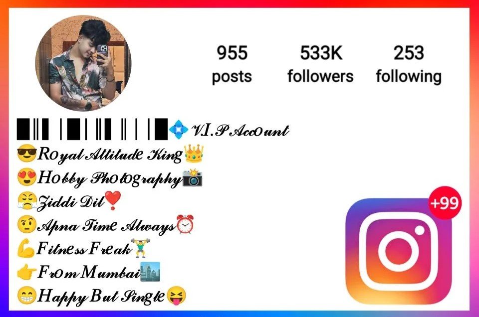 Best Instagram Vip Bio Stylish Font