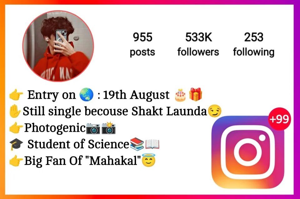 Bio For Instagram For Boys Attitude