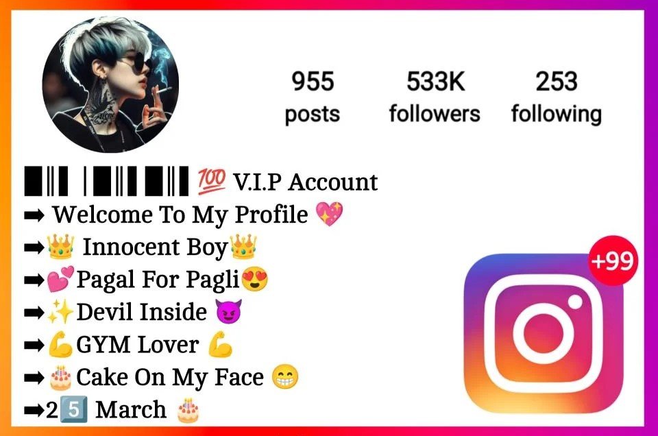 Instagram VIP Bio For Boys