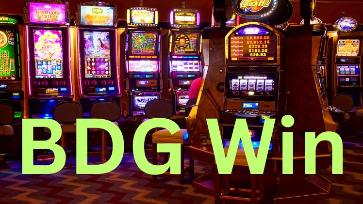 Win Every Challenge with BDG Win Game